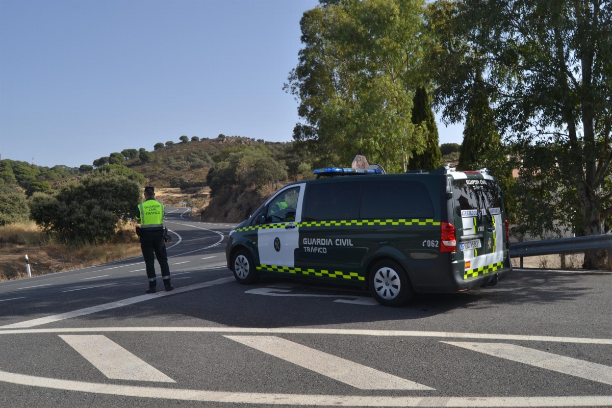 Varias llamadas alertaron de que un camión circulaba de manera errática invadiendo ambos carriles de circulación. - 