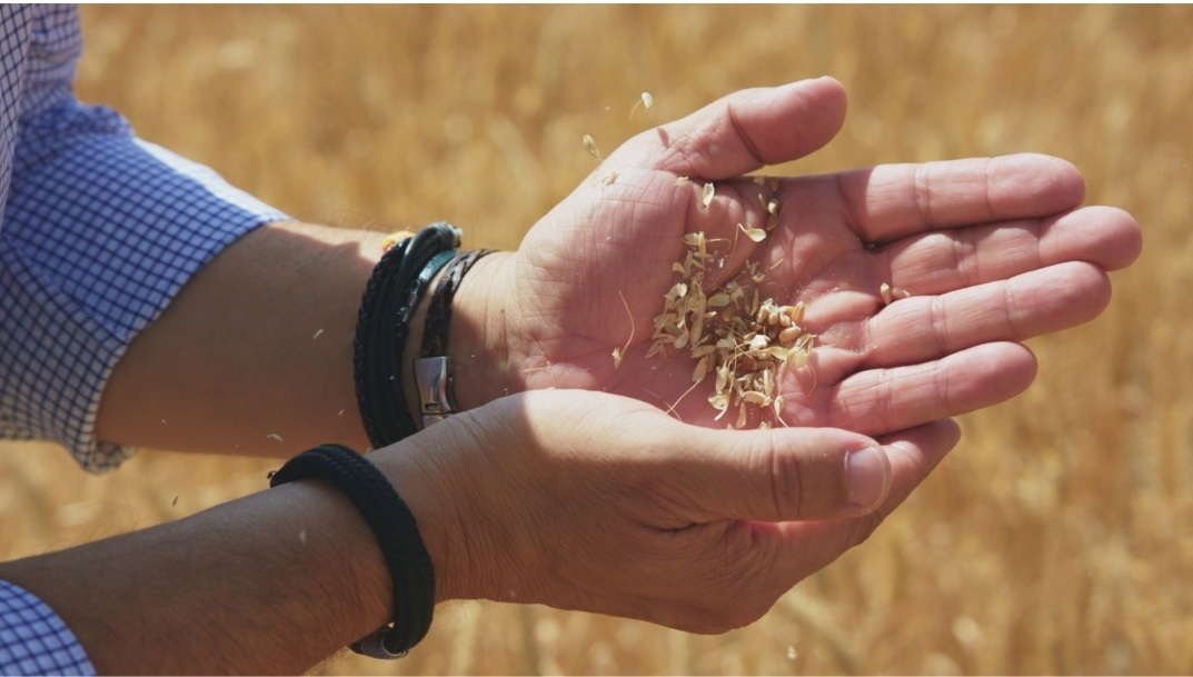 Casa Tarradellas suma un segundo laboratorio para potenciar su investigación en I+D. - 