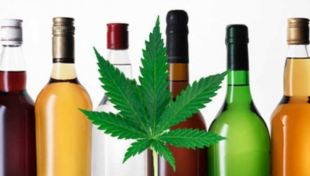 Los fabricantes de bebidas alcohólicas, tras la caída de ventas, exploran la introducción de derivados del cannabis
