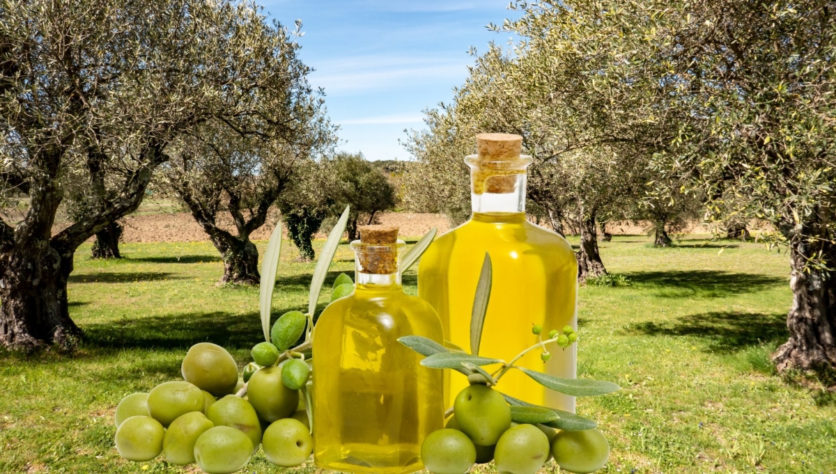 El sector agroalimentario considera perjudicial el arancel del 15% de EE.UU. aunque un 