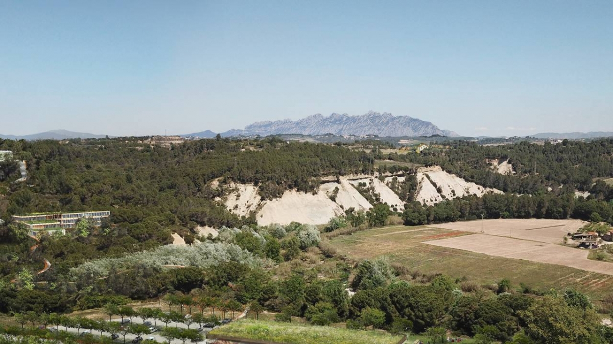 Un águila en peligro de extinción obliga a detener el proyecto estrella de Ametller Origen en el Penedès
