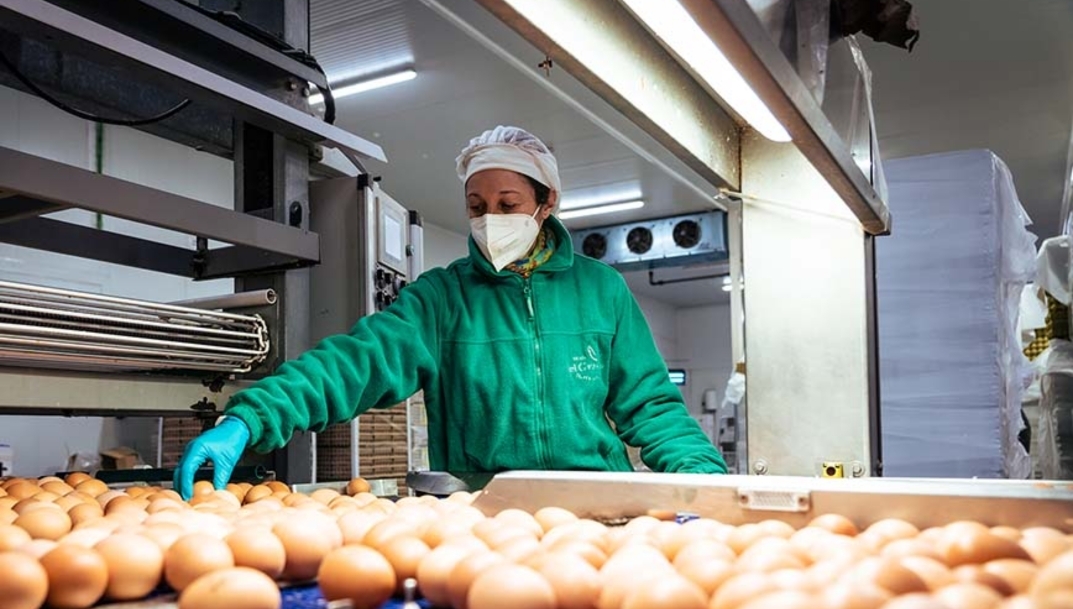 La compañía avícola Hevo Group adquiere El Granjero