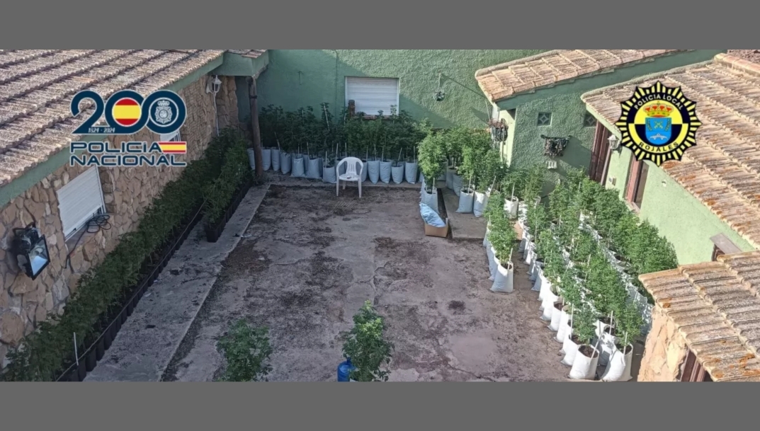 La Policía Nacional interviene un taller clandestino de coches en Alicante repleto de marihuana