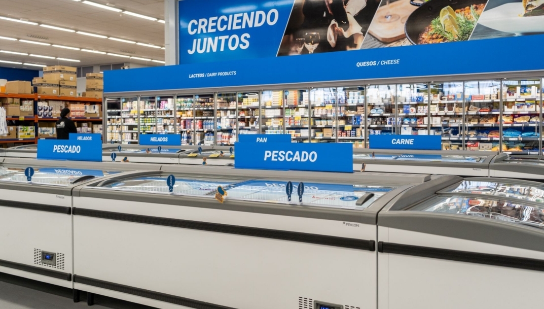 Sección renovada de congelados de un cash & carry Dialsur. - 