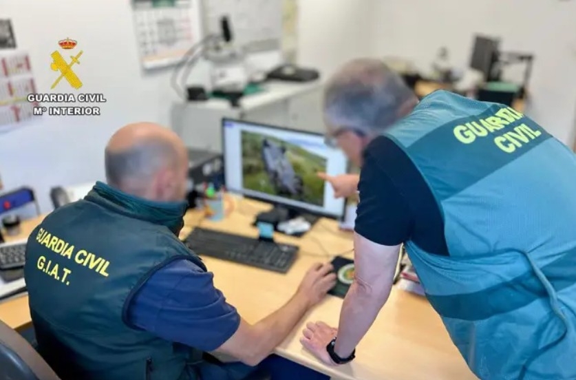 El propietario de un taller y un cliente, compinchados para estafar más de 36.000 euros a la aseguradora simulando un falso accidente 