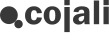 Cojali presentará en Solutrans 2025 las últimas novedades de sus soluciones de diagnosis, telemática y componentes para vehículo industrial