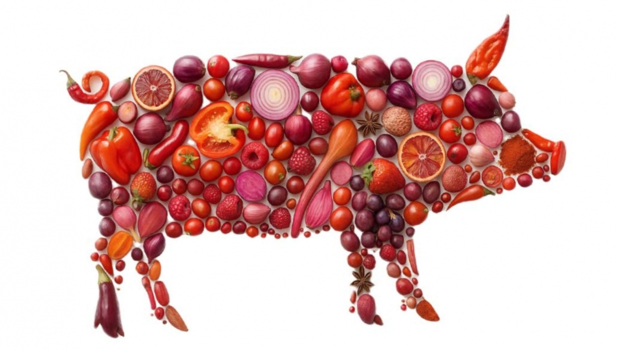 La población veggie en España se estabiliza en el 11,1% y reclama más sabor y naturalidad a la industria alimentaria