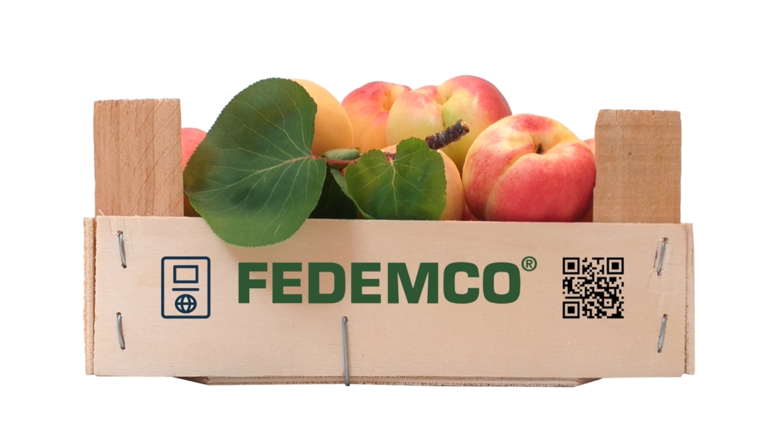 Fedemco avanza en innovación con su pasaporte digital para envases de madera