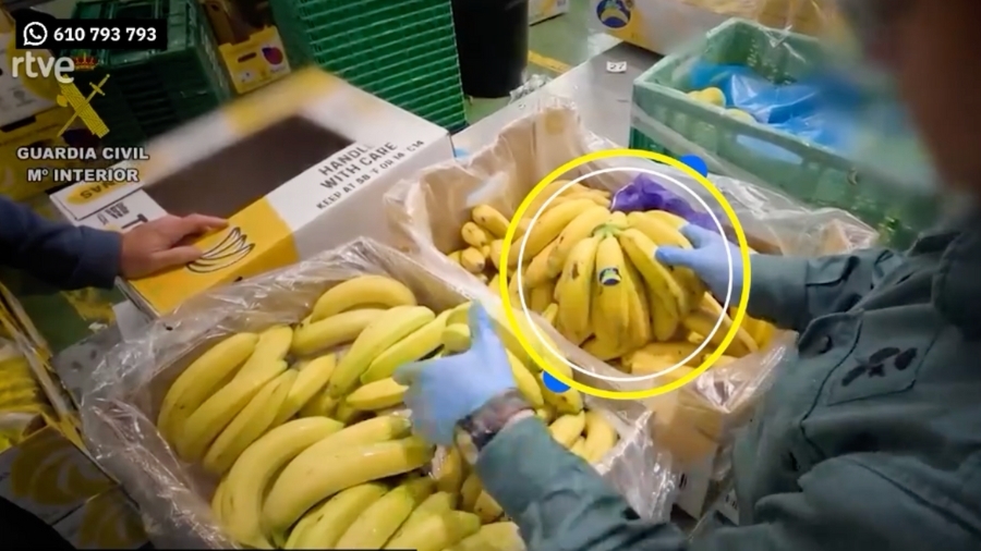 Carnes en mal estado, marisco con etiquetas falsas y denominaciones falsificadas: cae en España una red dedicada al fraude alimentario