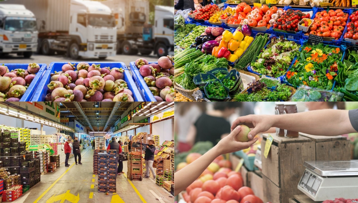 La Red de Mercas permite garantizar el suministro diario a más de 30 millones de personas.