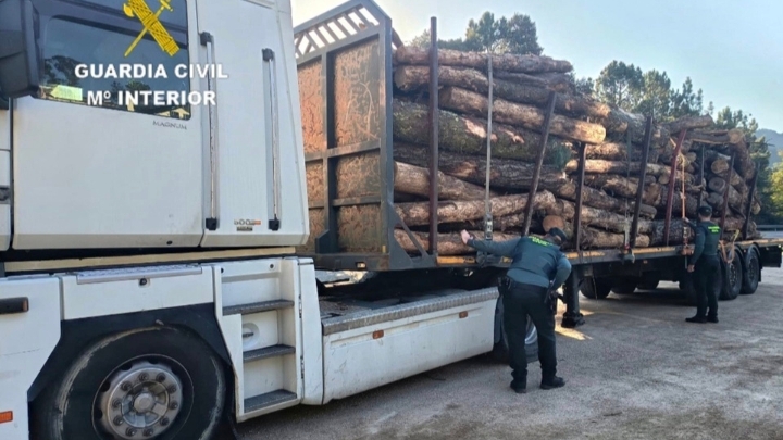Detenidos dos hombres tras huir con un camión cargado de madera sustraída en Pontevedra