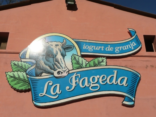 La Fageda: El yogur español que podría ser clave para una vida más larga 