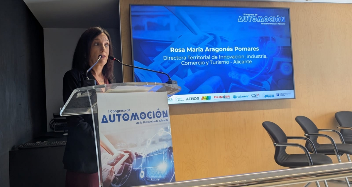 Rosa María Aragonés aportó datos sobre las denuncias a talleres ilegales en la provincia.