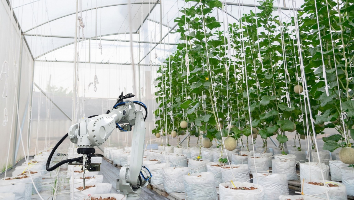 El sector es extraordinariamente dinámico, pero las innovaciones siguen siendo difíciles de implementar.