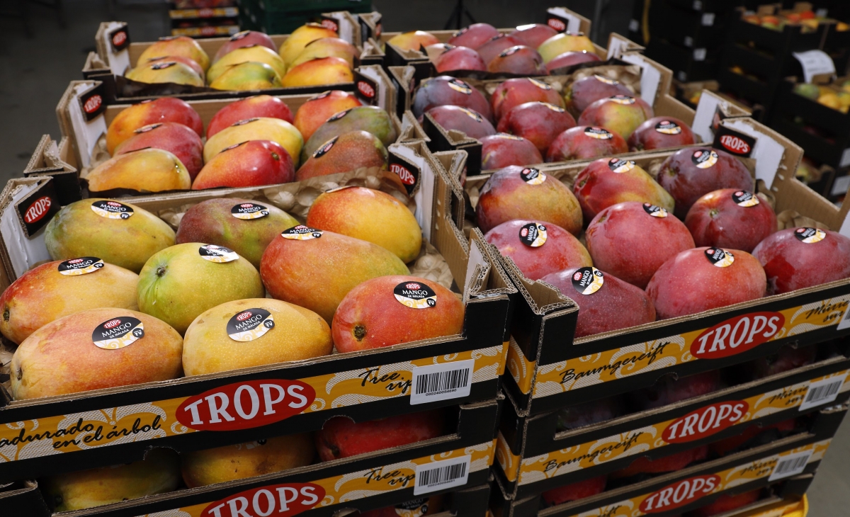 Pese a los desafíos, el futuro es prometedor.