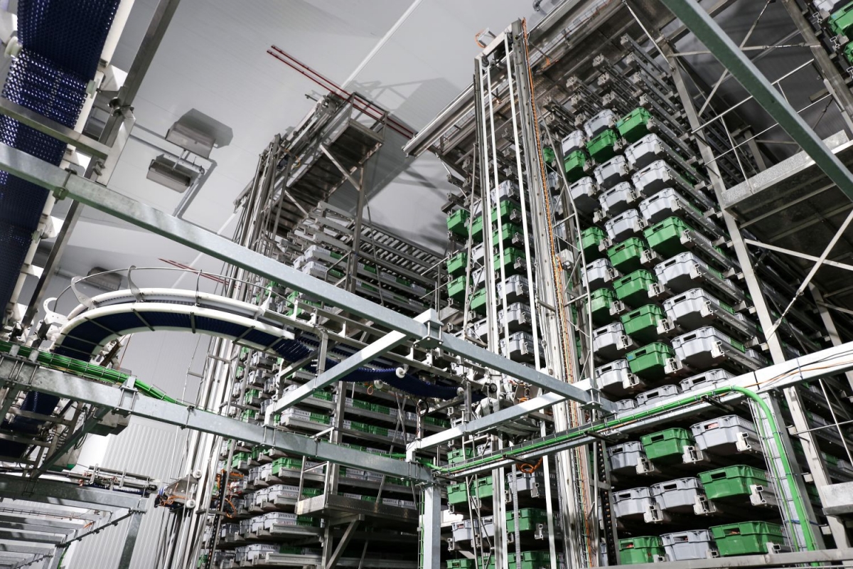 Interior de las instalaciones.