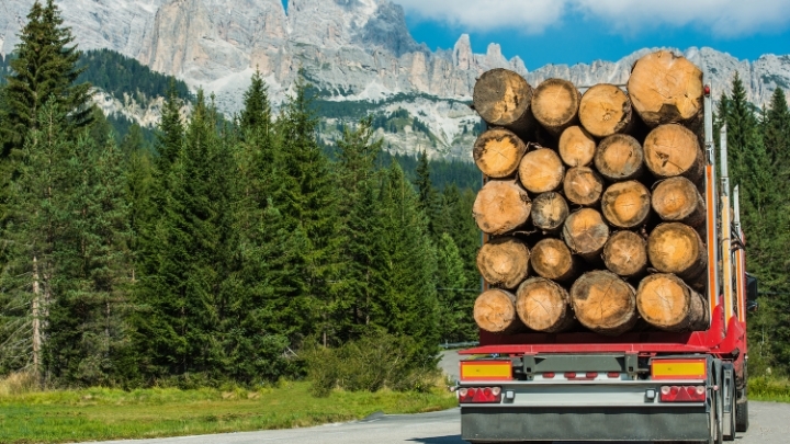 Transportistas suspenden sus servicios a un cargador de madera en el primer choque por el aumento de las masas