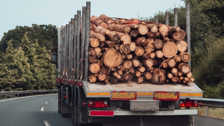 Dos semanas de movilización del transporte contra Ence, productor de celulosa: 