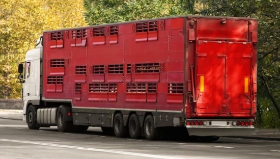 Los camioneros de EEUU también están preocupados por los robos: 18 millones de pérdidas al día