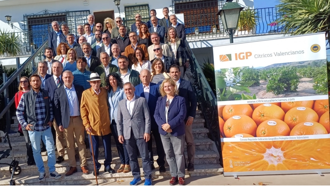 Arranca, con novedades, la campaña 2025-26 de comercialización de la IGP Cítricos Valencianos