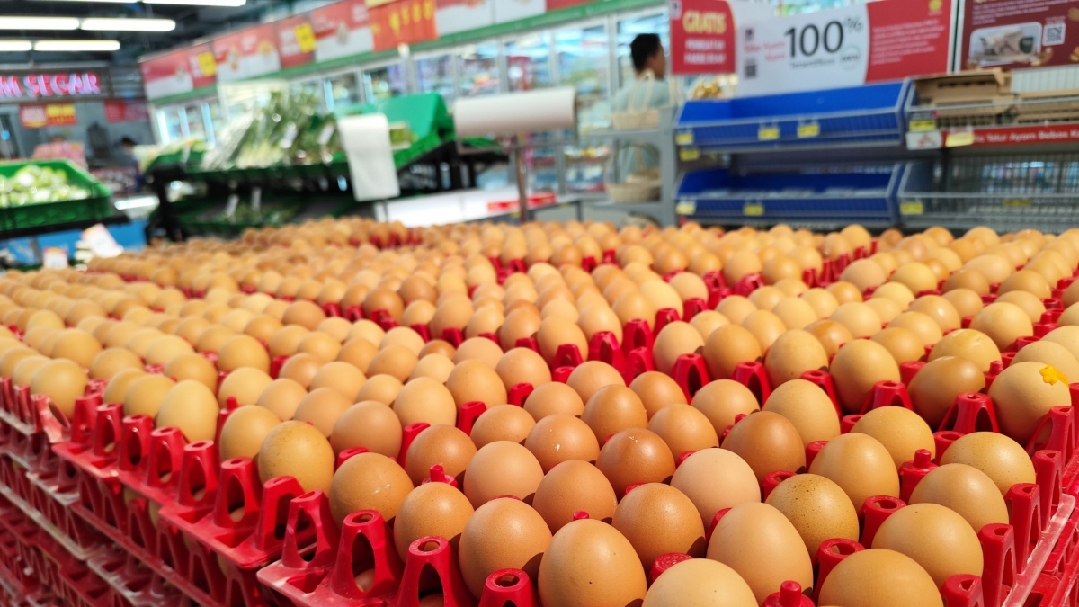 El huevo vuelve a ser el alimento básico que más se ha encarecido tras subir el 22,5% anual y un 5,1% en octubre