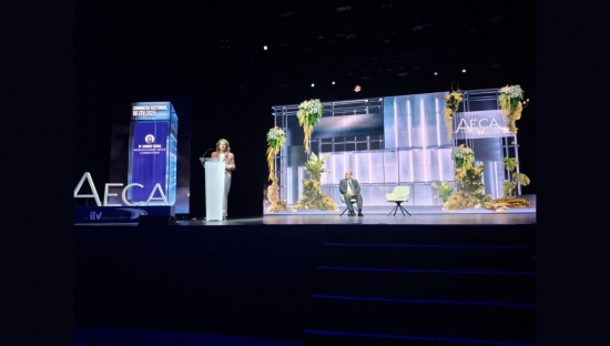 Las ITV cierran su Congreso Sectorial recordando que cada día fallece una persona en España por no haber pasado la inspección