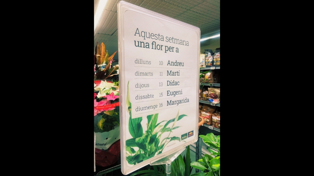 El eterno reto de las flores y plantas en el supermercado: la lección de Bon Preu