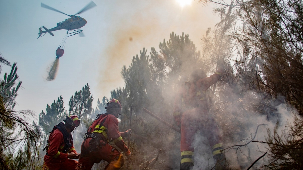 Han actuado en episodios especialmente complejos, como la DANA en la Comunidad Valenciana o los incendios del pasado verano. - 