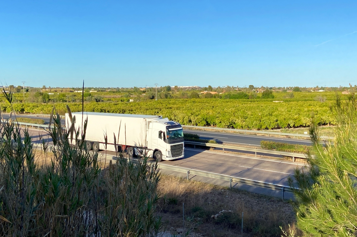 Transfollow: de pioneros eCMR a creadores de un sistema completo