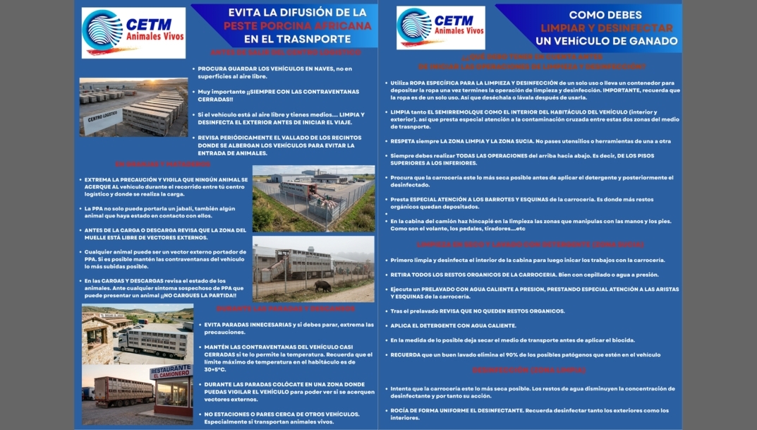 Recomendaciones de CETM Animales Vivos ante la Peste Porcina Africana.