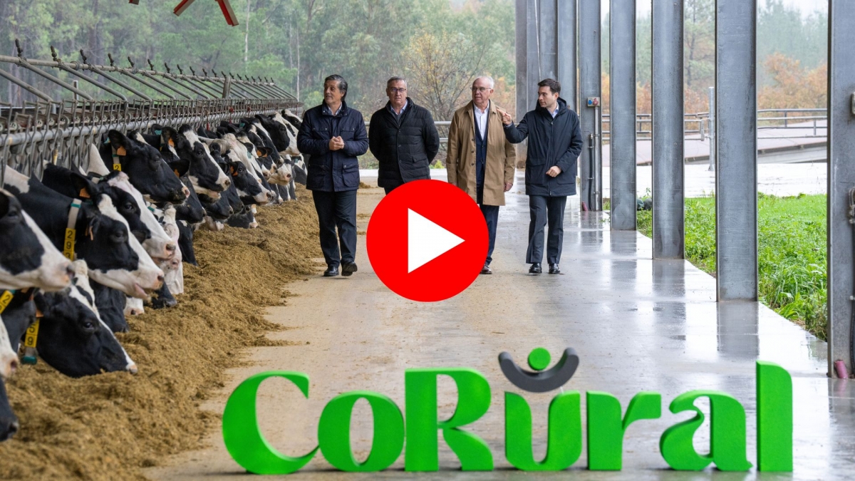 Clun y Leche Celta crean CoRural, el nuevo gigante lácteo gallego