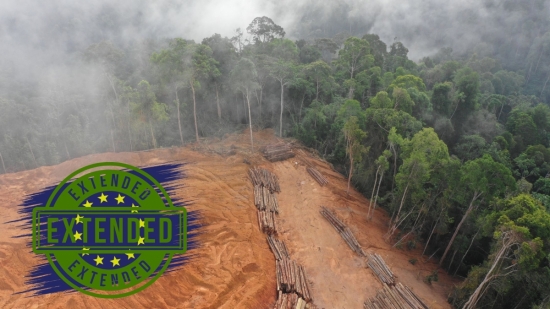 Distribución e industria valoran con sabor agridulce el aplazamiento de la Ley de Deforestación de la UE, y reclaman tanto seguridad jurídica como claridad administrativa