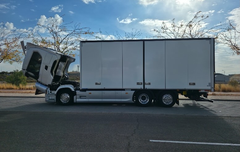 Packie posando bajo el sol.