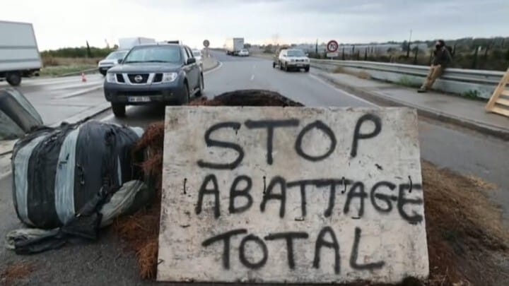 Las carreteras convertidas en el principal escenario de la reivindicación.