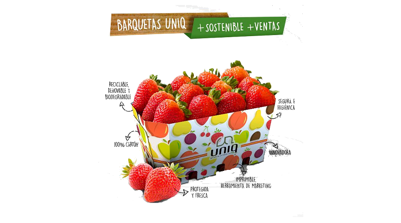 Barquetas sostenibles en cartón de UNIQ