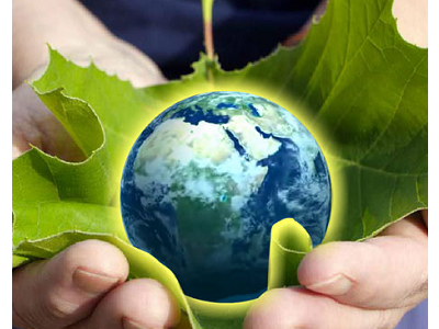 Las mujeres, más proclives a comprar alimentos de producción responsable con el medio ambiente