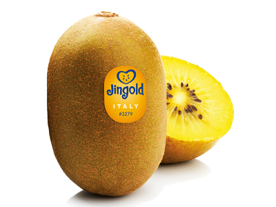 Jingold® apuesta por el mercado español