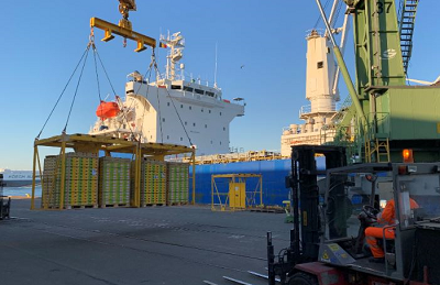 Comienza la nueva temporada del kiwi Zespri en Europa