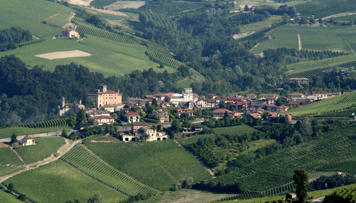 Italia aprueba la producción de vinos sin alcohol