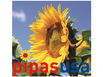 Estados Unidos mantiene su liderazgo en la exportación de pipas de girasol a España
