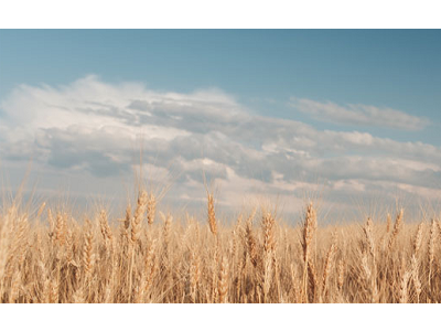 Las Marcas de Fabricante contribuyen a la supervivencia de la España rural