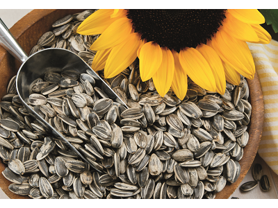 Pipas de Girasol, el snack saludable que te acompaña en cada momento