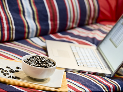 Vuelve a la rutina con pipas de girasol