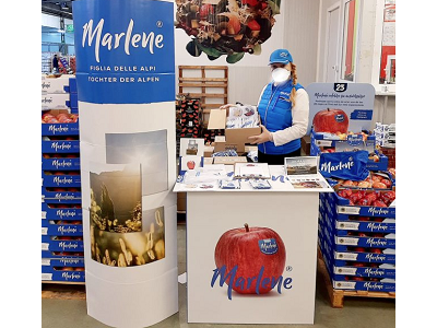 VOG, un otoño repleto de iniciativas en España