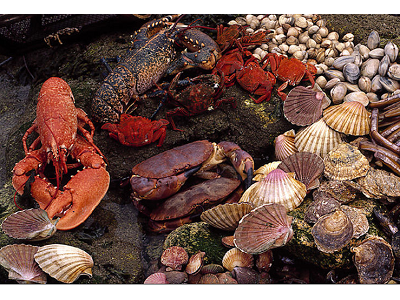 Grandes expectativas para el ecommerce de productos Gourmet para estas navidades