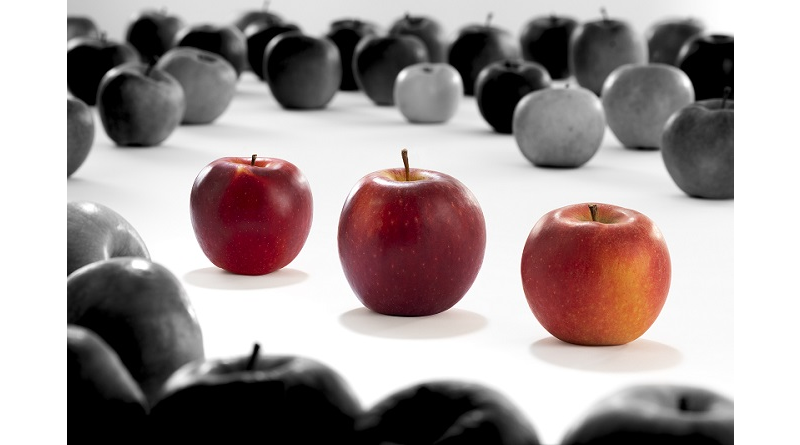 VOG y VIP presentan tres nuevas variedades de manzana