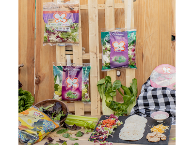 Lechuga y espinaca, las verduras preferidas por los consumidores