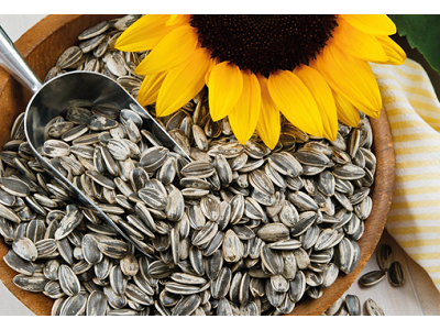 Las pipas de girasol son el snack perfecto para cualquier plan y momento del día