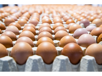 El consumo de huevos en los hogares españoles se disparó en 2020