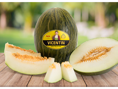 Vicente Peris da inicio a la campaña nacional de sus melones gourmet